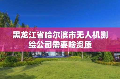 黑龍江省哈爾濱市無人機測繪公司需要啥資質