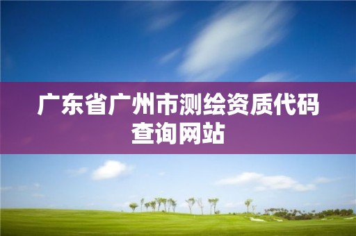 廣東省廣州市測繪資質(zhì)代碼查詢網(wǎng)站