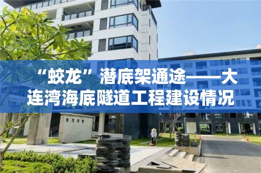 “蛟龍”潛底架通途――大連灣海底隧道工程建設情況調(diào)查