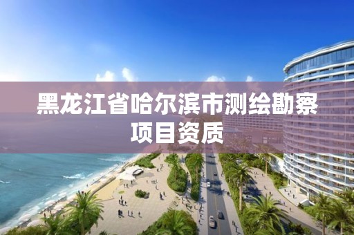 黑龍江省哈爾濱市測繪勘察項目資質