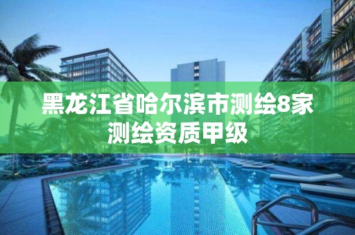 黑龍江省哈爾濱市測繪8家測繪資質甲級