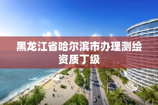 黑龍江省哈爾濱市辦理測繪資質丁級