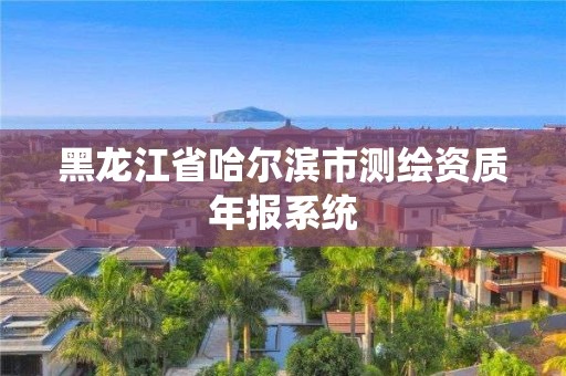 黑龍江省哈爾濱市測繪資質(zhì)年報系統(tǒng)