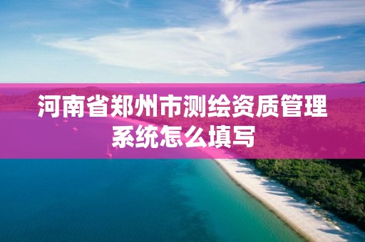 河南省鄭州市測繪資質管理系統怎么填寫