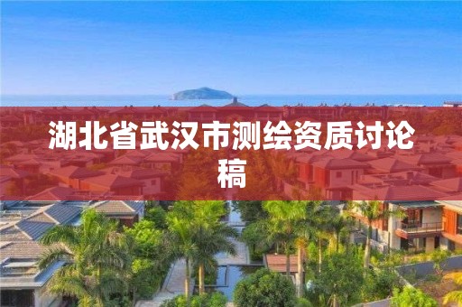 湖北省武漢市測繪資質討論稿