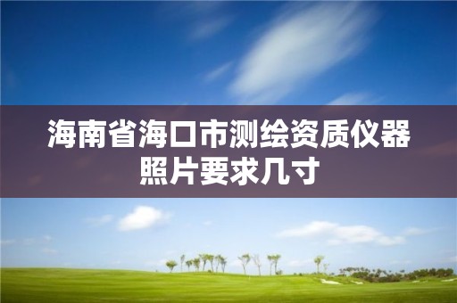 海南省海口市測繪資質儀器照片要求幾寸