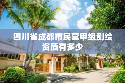 四川省成都市民營甲級測繪資質有多少