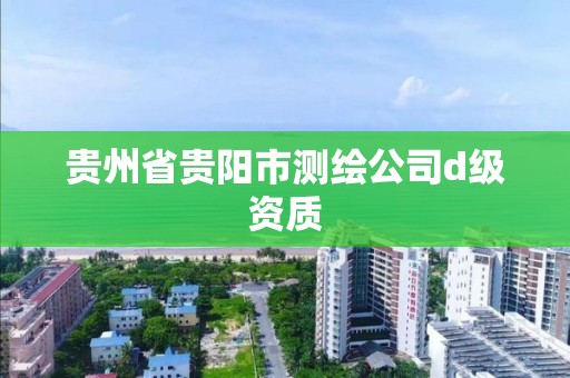 貴州省貴陽市測繪公司d級資質