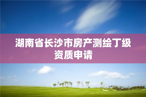 湖南省長沙市房產測繪丁級資質申請