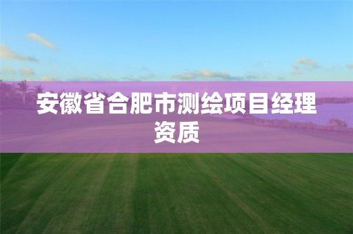 安徽省合肥市測繪項目經(jīng)理資質(zhì)