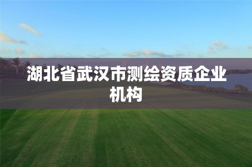 湖北省武漢市測繪資質企業機構