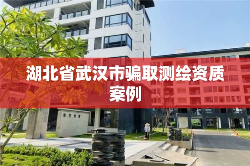 湖北省武漢市騙取測繪資質案例