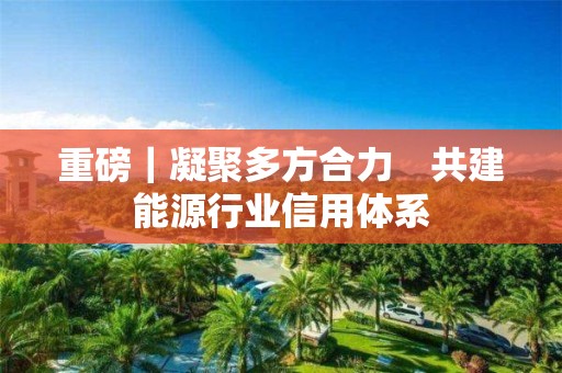 重磅｜凝聚多方合力　共建能源行業信用體系