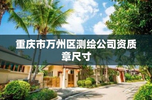 重慶市萬州區(qū)測繪公司資質(zhì)章尺寸