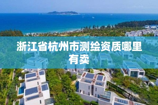 浙江省杭州市測繪資質哪里有賣