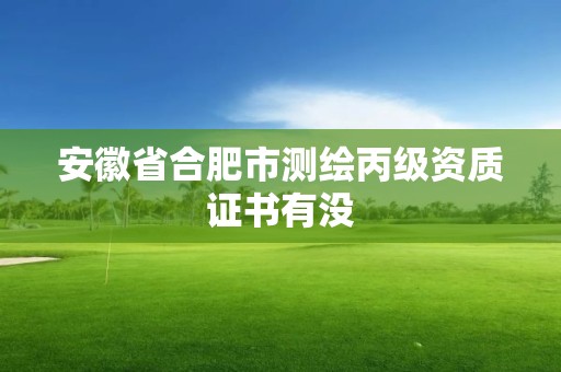 安徽省合肥市測繪丙級資質證書有沒