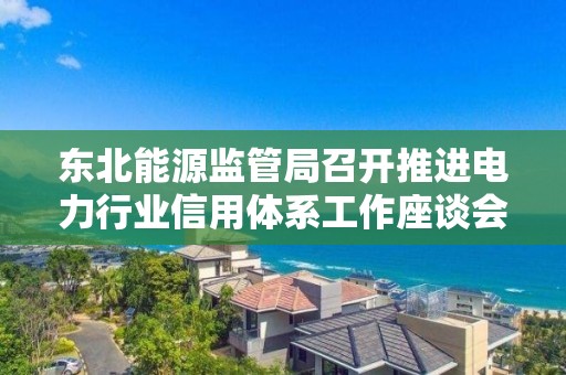 東北能源監管局召開推進電力行業信用體系工作座談會