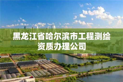 黑龍江省哈爾濱市工程測繪資質辦理公司