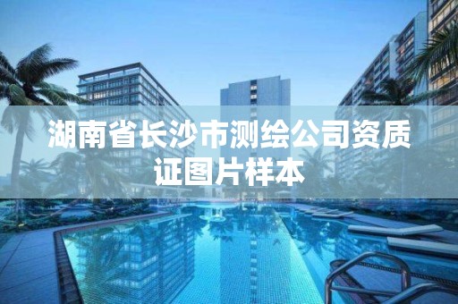 湖南省長沙市測繪公司資質(zhì)證圖片樣本