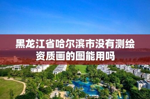 黑龍江省哈爾濱市沒有測繪資質畫的圖能用嗎