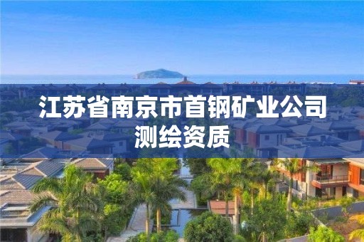 江蘇省南京市首鋼礦業(yè)公司測(cè)繪資質(zhì)