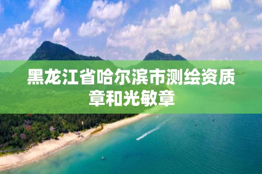 黑龍江省哈爾濱市測繪資質(zhì)章和光敏章