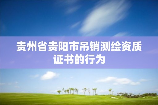 貴州省貴陽市吊銷測繪資質證書的行為