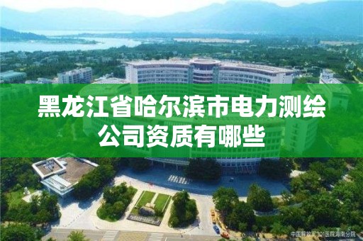 黑龍江省哈爾濱市電力測繪公司資質有哪些