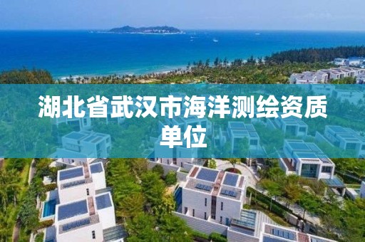 湖北省武漢市海洋測繪資質(zhì)單位