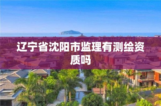 遼寧省沈陽市監理有測繪資質嗎