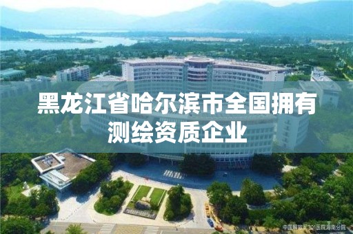 黑龍江省哈爾濱市全國擁有測繪資質(zhì)企業(yè)