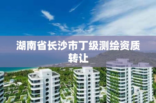 湖南省長沙市丁級測繪資質轉讓