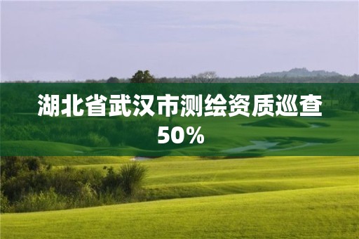 湖北省武漢市測繪資質巡查50%