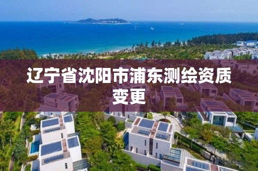 遼寧省沈陽市浦東測繪資質變更