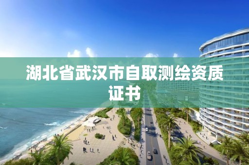 湖北省武漢市自取測繪資質證書