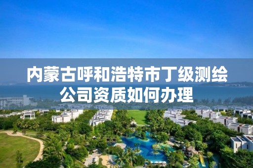 內蒙古呼和浩特市丁級測繪公司資質如何辦理