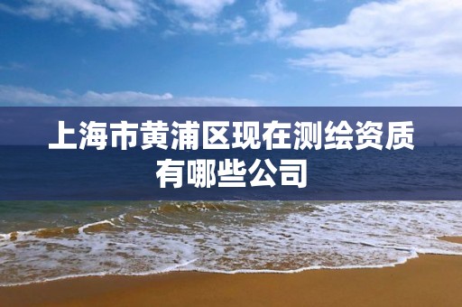 上海市黃浦區現在測繪資質有哪些公司