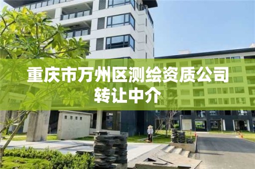 重慶市萬州區(qū)測繪資質公司轉讓中介