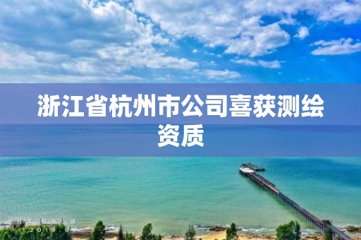 浙江省杭州市公司喜獲測繪資質(zhì)