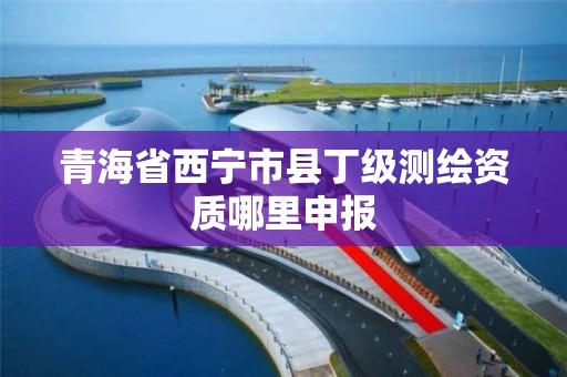 青海省西寧市縣丁級測繪資質哪里申報