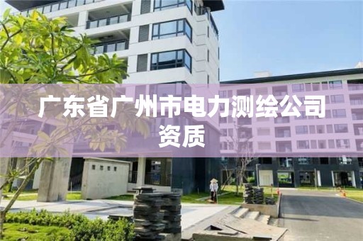 廣東省廣州市電力測繪公司資質