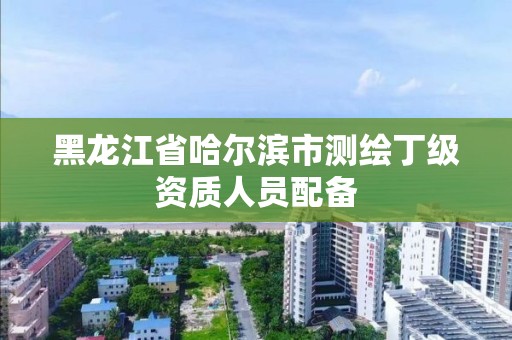 黑龍江省哈爾濱市測繪丁級資質人員配備