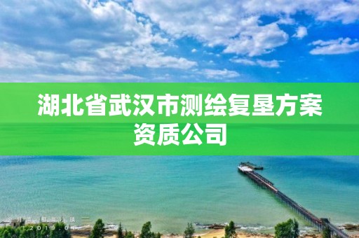 湖北省武漢市測繪復墾方案資質公司