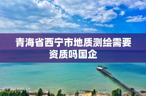 青海省西寧市地質測繪需要資質嗎國企