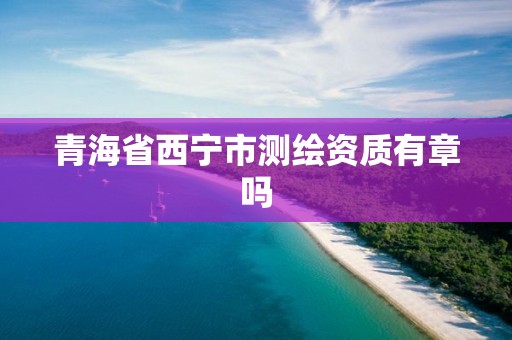 青海省西寧市測繪資質有章嗎