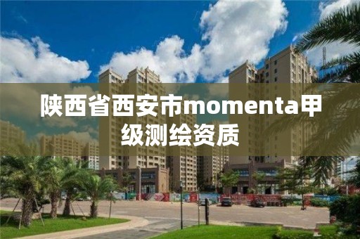 陜西省西安市momenta甲級測繪資質