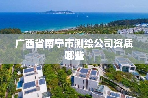 廣西省南寧市測繪公司資質哪些