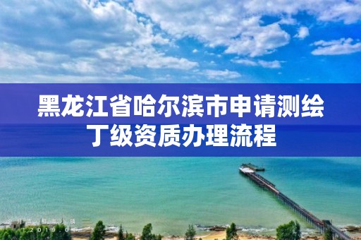 黑龍江省哈爾濱市申請測繪丁級資質辦理流程