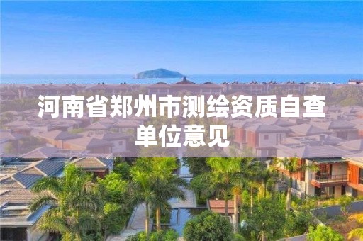 河南省鄭州市測繪資質自查單位意見