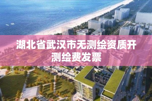 湖北省武漢市無測繪資質開測繪費發票